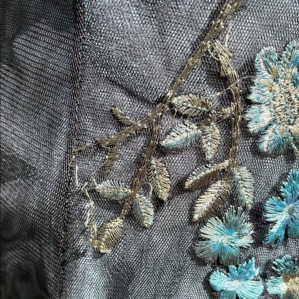 NWT Adriana Papell lace embroidered net sheer dress- gown- Size 10 - Picture 13 of 17